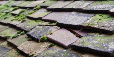 Bull Bay roof repair costs